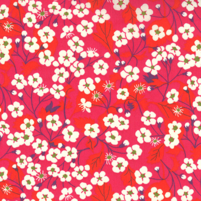 Tissu Liberty Tana Lawn - Mitsi